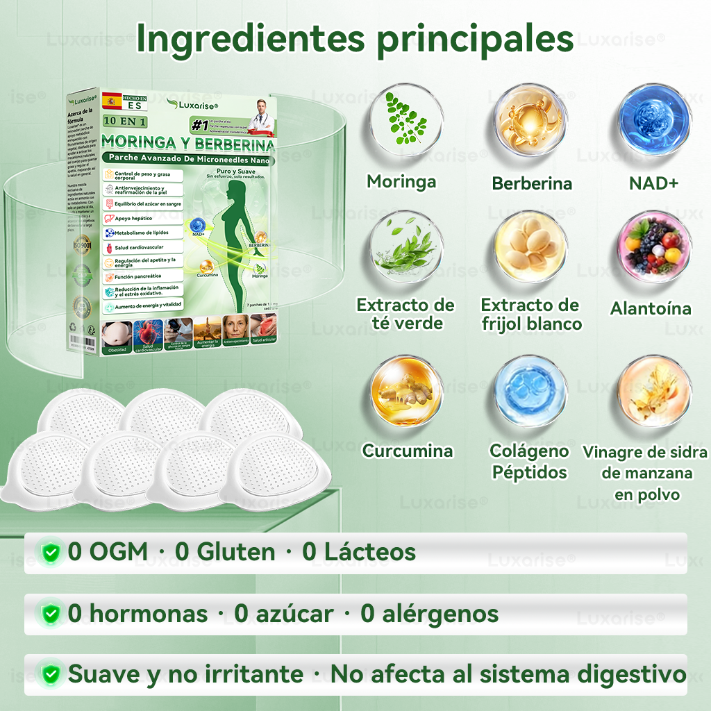 𝑳𝒖𝒙𝒂𝒓𝒊𝒔𝒆/ Moringa & Berberina 2X1
